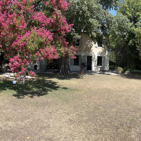 Alpilles Camargue Mas Falabrego Raphèle Eksteriør bilde