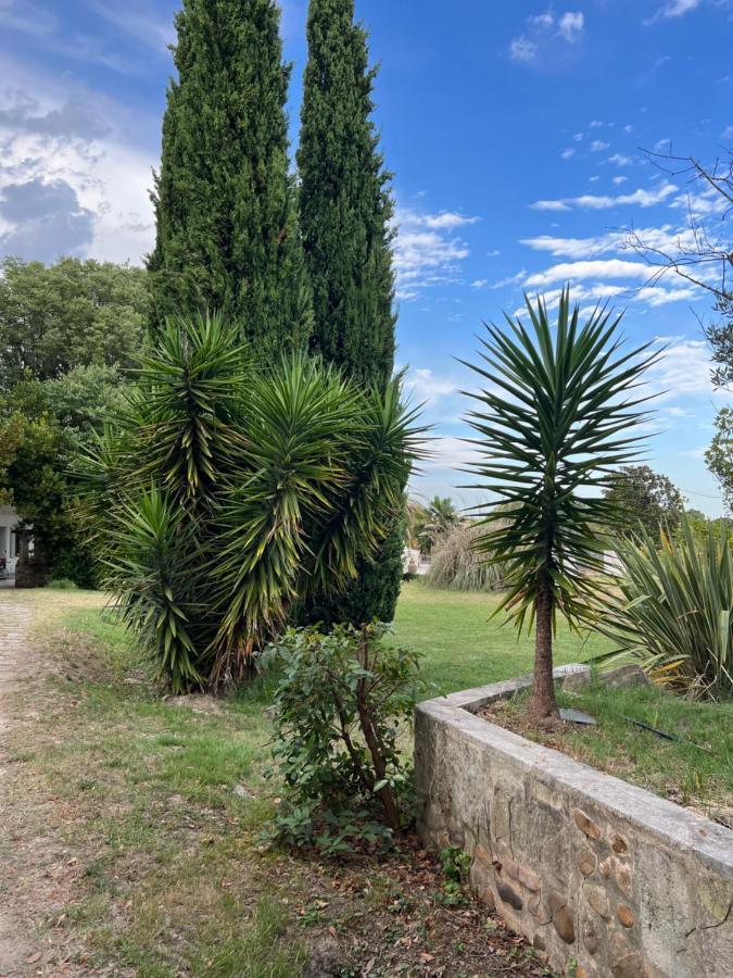 Alpilles Camargue Mas Falabrego Raphèle Eksteriør bilde