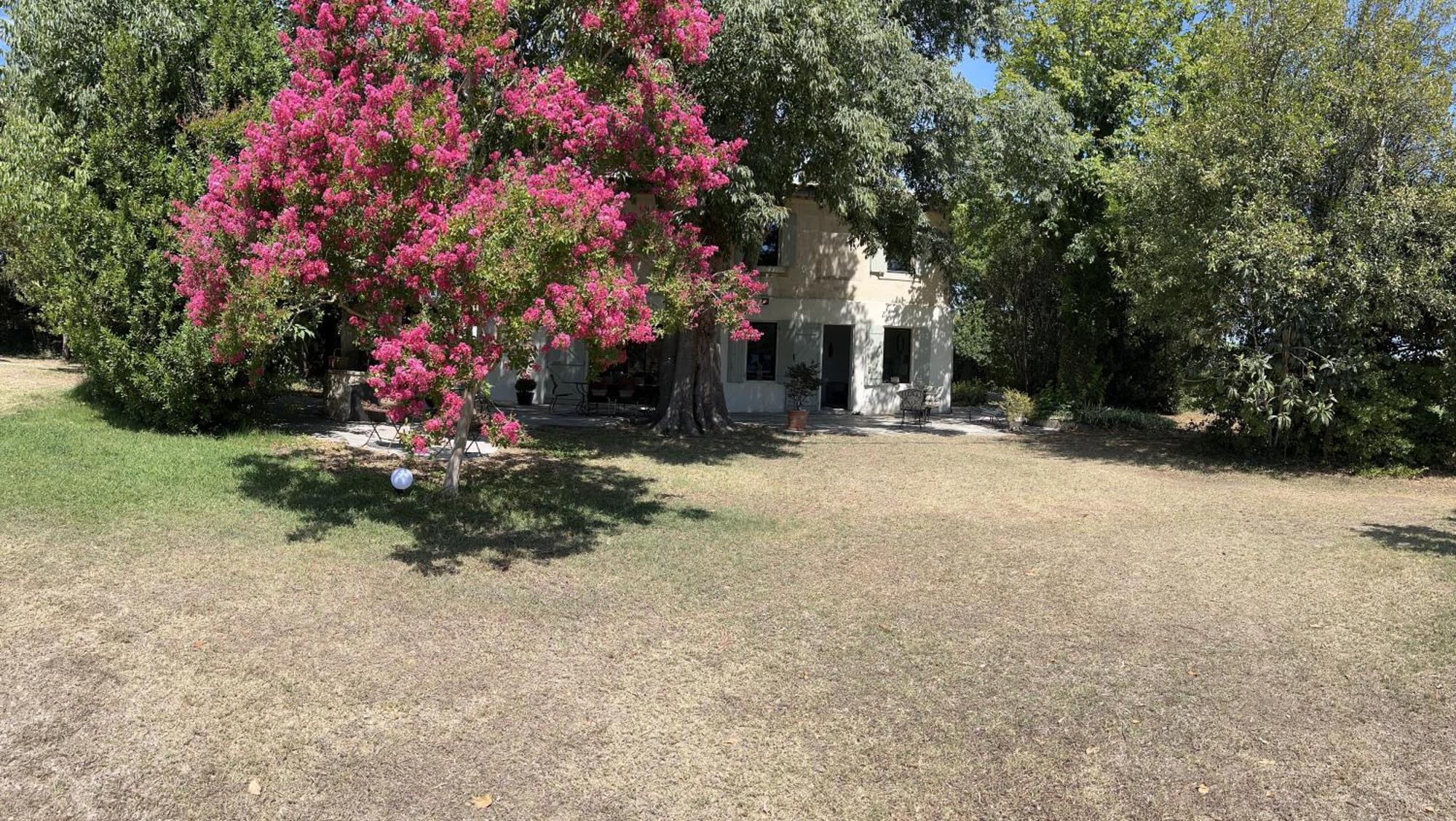 Alpilles Camargue Mas Falabrego Raphèle Eksteriør bilde